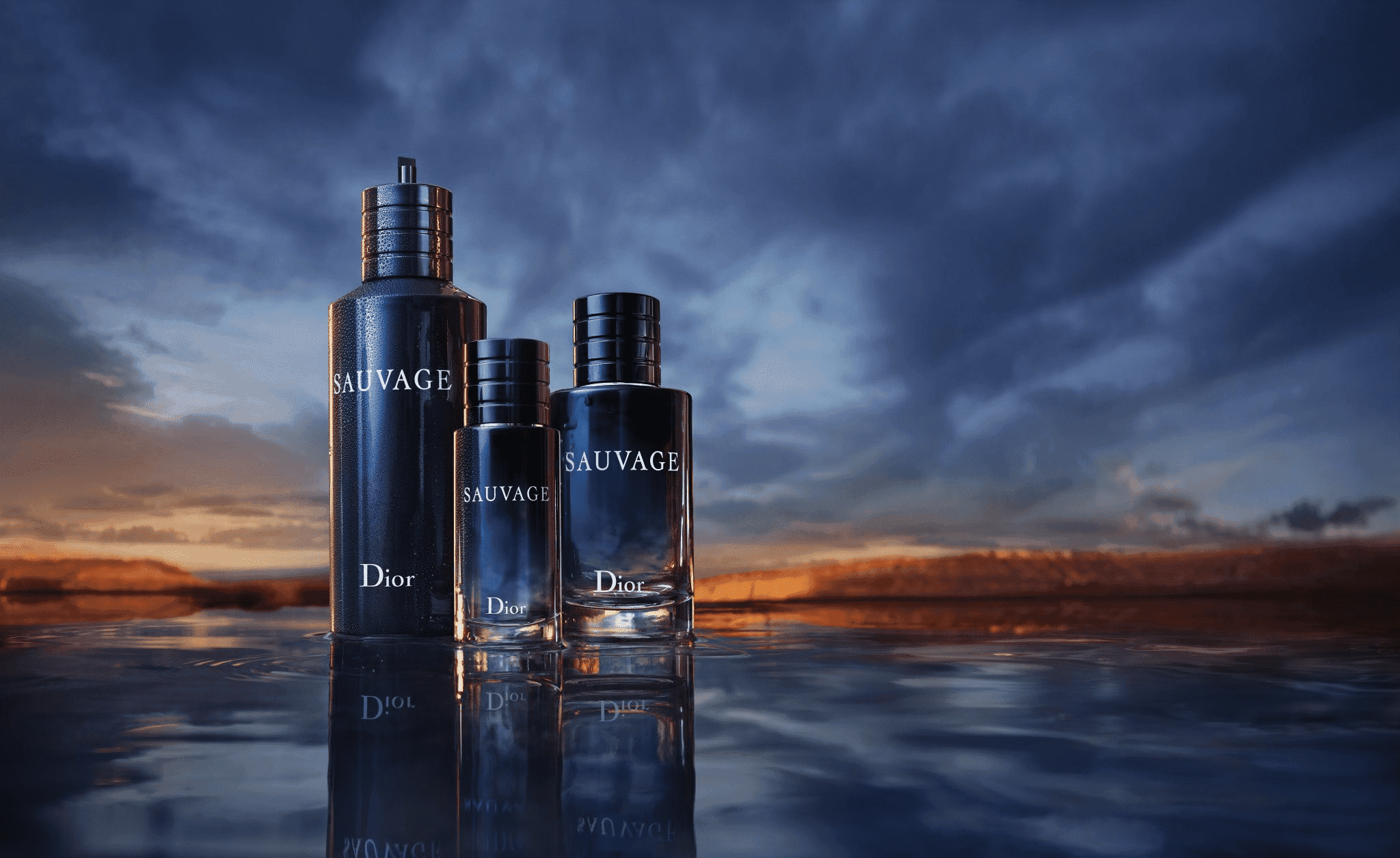 sauvage dior perfume